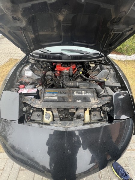 Показываем два редких Pontiac Firebird, которые есть в Беларуси