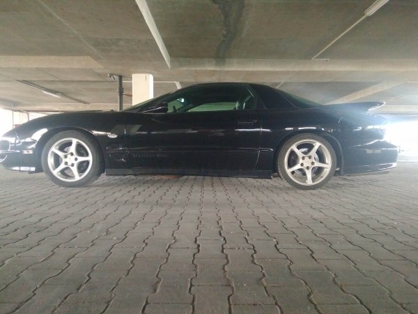 Показываем два редких Pontiac Firebird, которые есть в Беларуси