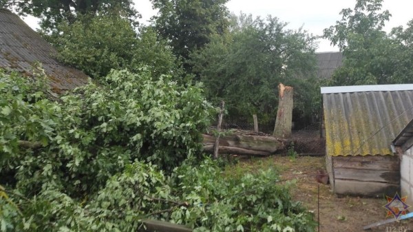 В МЧС рассказали, что натворила непогода в Брестской области В МЧС рассказали, что натворила непогода в Брестской области