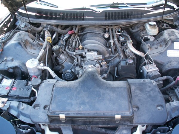 Показываем два редких Pontiac Firebird, которые есть в Беларуси