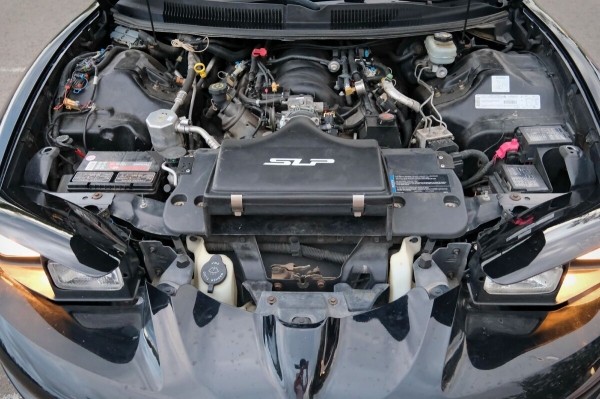 Показываем два редких Pontiac Firebird, которые есть в Беларуси