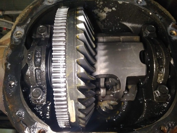 Показываем два редких Pontiac Firebird, которые есть в Беларуси