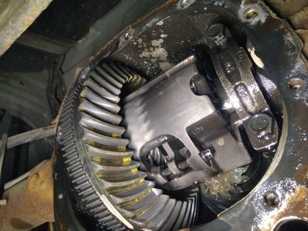 Показываем два редких Pontiac Firebird, которые есть в Беларуси