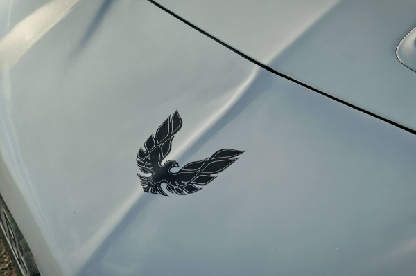 Показываем два редких Pontiac Firebird, которые есть в Беларуси