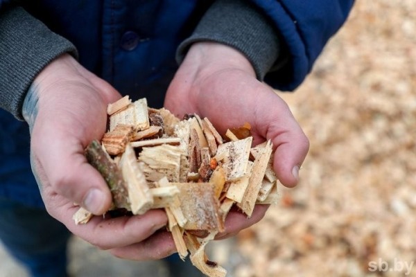В Брестском облисполкоме рассказали о подготовке к осенне-зимнему периоду В Брестском облисполкоме рассказали о подготовке к осенне-зимнему периоду