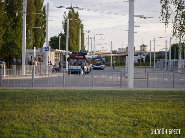 В Бресте 1 октября пенсионеры смогут бесплатно пользоваться общественным транспортом