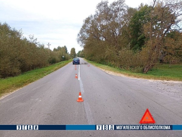 Пешеход шагнул навстречу автомашине и погиб в Могилевском районе