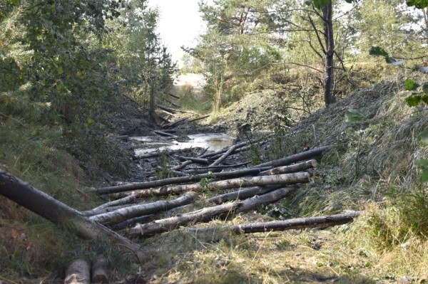 Десантники осуществили подрыв моста через Прилукский канал на полигоне «Брестский» Десантники осуществили подрыв моста через Прилукский канал на полигоне «Брестский»