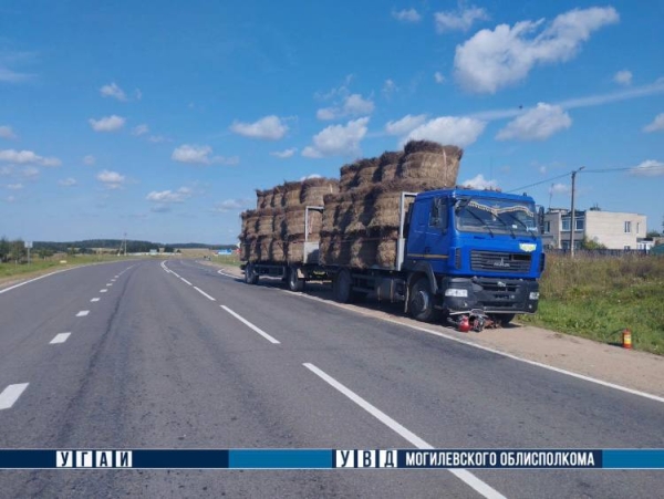 В Могилевской области грузовик насмерть сбил водителя мопеда В Могилевской области грузовик насмерть сбил водителя мопеда