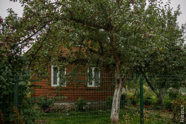 «Картинка почти никогда не передает реальность». Как молодая пара искала дом своей мечты