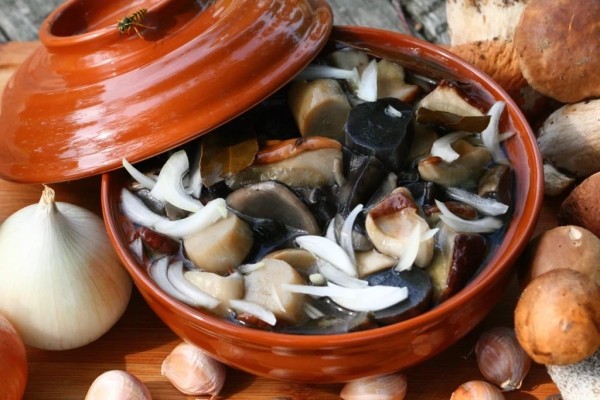 С какого возраста можно есть грибы? Кому нельзя есть грибы? Есть ли безопасная доза грибов? Что нужно знать С какого возраста можно есть грибы? Кому нельзя есть грибы? Есть ли безопасная доза грибов? Что нужно знать