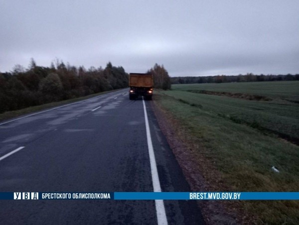 Сегодня утром грузовик сбил пешехода в Лунинецком районе Сегодня утром грузовик сбил пешехода в Лунинецком районе
