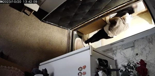 «Вера Павловна, поздравлять вас будем». Как бабушка — крепкий орешек отвадила «ходоков» (смотреть со звуком)