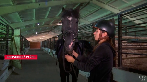 Верховая езда и основы конкура. Вот как проходит обучение конному спорту в Кобринском районе