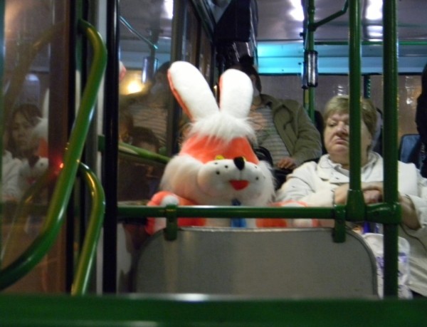 В минском транспорте стало на 10% меньше зайцев. Помогло одно новшество  