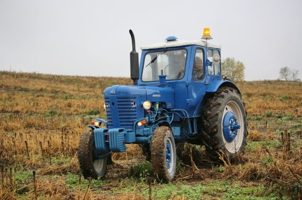 По полям, по полям синий трактор едет к нам! Белорус показал восстановленный МТЗ-50 1965 г. в.