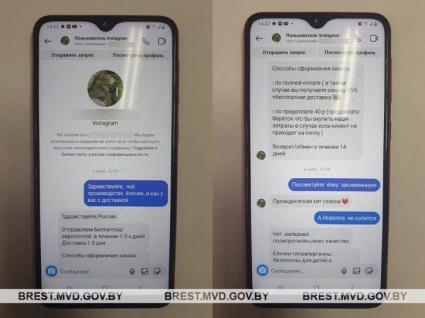 Покупка искусственной ели оказалась мошенничеством. В ловушку «разводил» попалась пинчанка