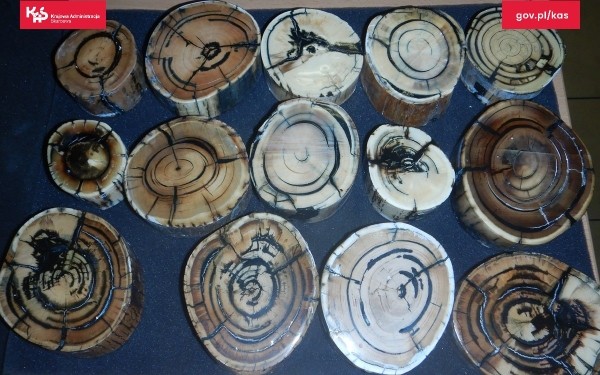 Белорус пытался контрабандой ввезти в Польшу древние окаменелости Белорус пытался контрабандой ввезти в Польшу древние окаменелости