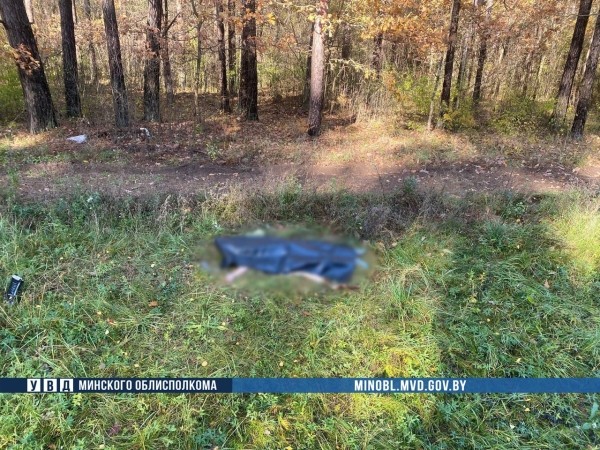 Водитель с пассажиром бросили машину и сбежали. Rover сбил насмерть 26-летнюю девушку Водитель с пассажиром бросили машину и сбежали. Rover сбил насмерть 26-летнюю девушку