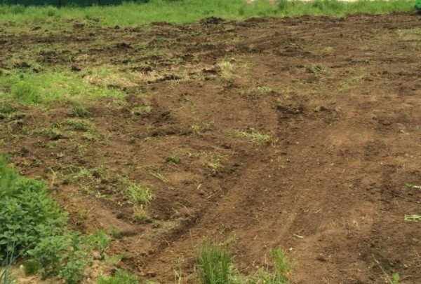 За 140 тысяч рублей продан участок в Бресте