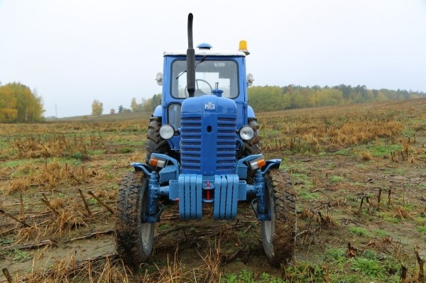 По полям, по полям синий трактор едет к нам! Белорус показал восстановленный МТЗ-50 1965 г. в.