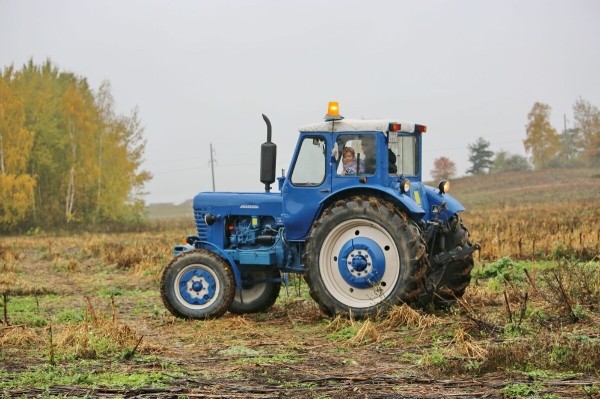 По полям, по полям синий трактор едет к нам! Белорус показал восстановленный МТЗ-50 1965 г. в.