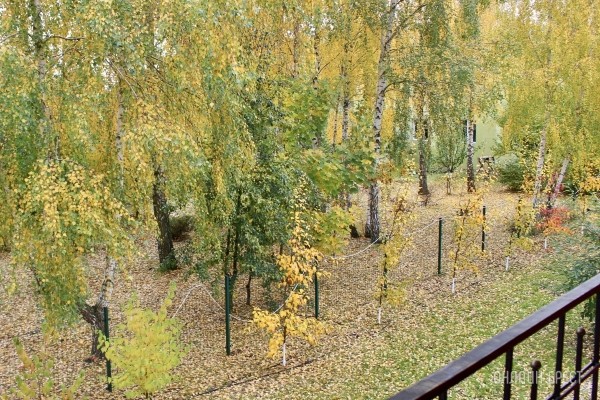 Запланируйте семейный отдых на антуражной вилле с бассейном и рестораном недалеко от Бреста. Аренда номеров, празднование торжеств в Villa Boutique Hotel