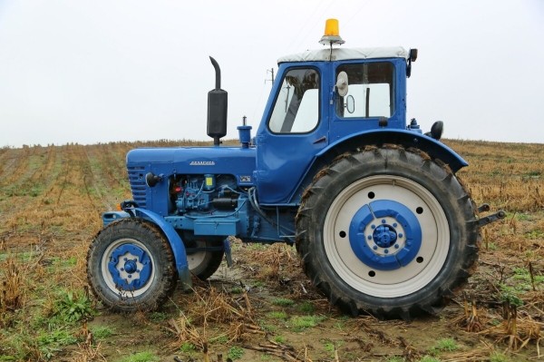 По полям, по полям синий трактор едет к нам! Белорус показал восстановленный МТЗ-50 1965 г. в.