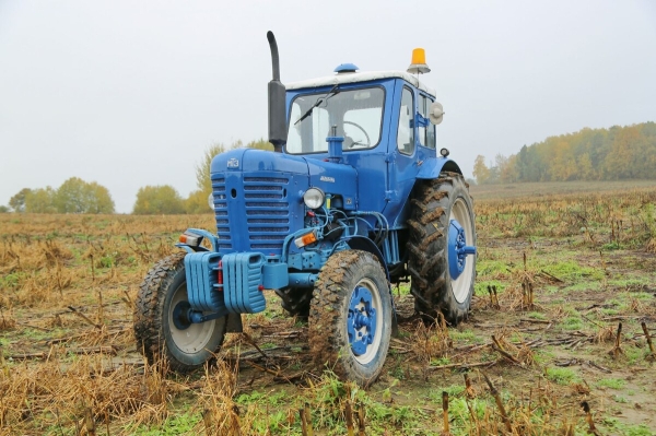 По полям, по полям синий трактор едет к нам! Белорус показал восстановленный МТЗ-50 1965 г. в.