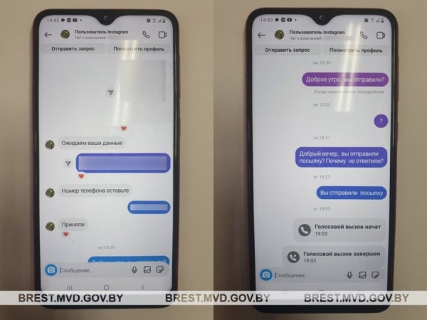 Покупка искусственной ели оказалась мошенничеством. В ловушку «разводил» попалась пинчанка