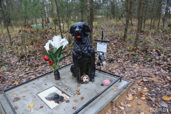 «Чипашка, спасибо за службу». Как выглядит стихийное кладбище домашних животных в Бобруйске «Чипашка, спасибо за службу». Как выглядит стихийное кладбище домашних животных в Бобруйске