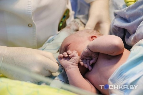 Зачем белорусы замораживают стволовые клетки своих детей Зачем белорусы замораживают стволовые клетки своих детей