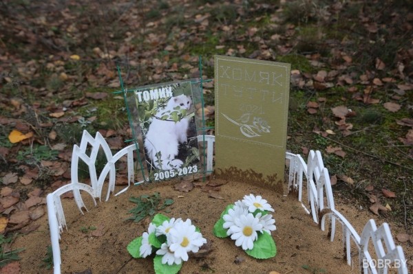 «Чипашка, спасибо за службу». Как выглядит стихийное кладбище домашних животных в Бобруйске «Чипашка, спасибо за службу». Как выглядит стихийное кладбище домашних животных в Бобруйске
