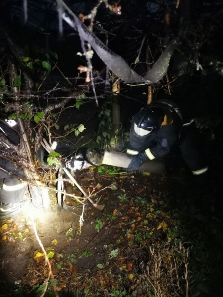 Брестские спасатели помогли собаке, которая застряла в трубе Брестские спасатели помогли собаке, которая застряла в трубе