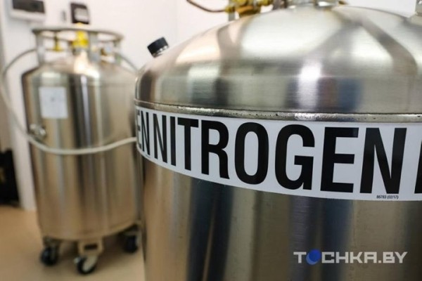 Зачем белорусы замораживают стволовые клетки своих детей Зачем белорусы замораживают стволовые клетки своих детей