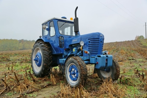 По полям, по полям синий трактор едет к нам! Белорус показал восстановленный МТЗ-50 1965 г. в.