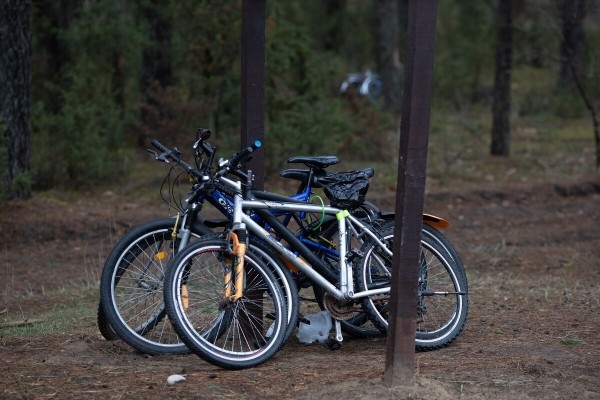 «Ругань здесь обычное дело!» Репортаж с белорусско-литовской границы, где очередь растянулась на неделю