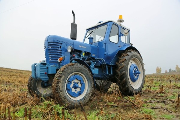 По полям, по полям синий трактор едет к нам! Белорус показал восстановленный МТЗ-50 1965 г. в.