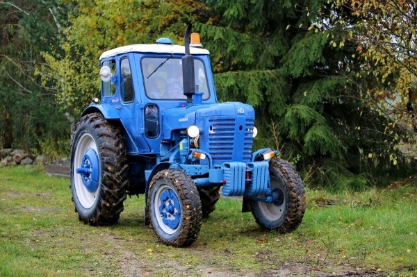По полям, по полям синий трактор едет к нам! Белорус показал восстановленный МТЗ-50 1965 г. в.