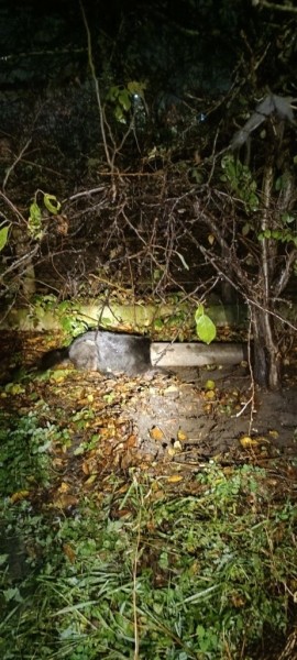 Брестские спасатели помогли собаке, которая застряла в трубе Брестские спасатели помогли собаке, которая застряла в трубе