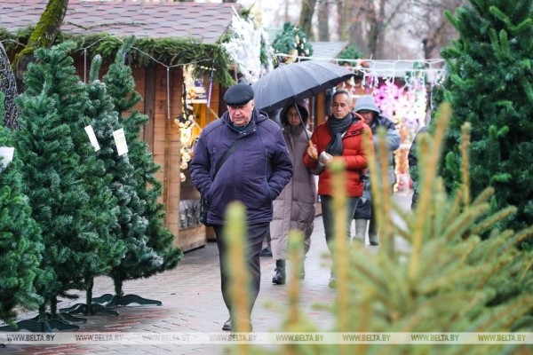 В Бресте заработали елочные базары В Бресте заработали елочные базары