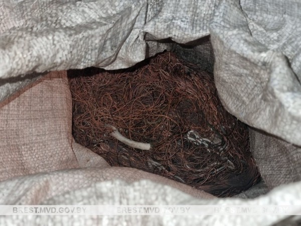 Двое мужчин пытались похитить лом меди с предприятия в Барановичах Двое мужчин пытались похитить лом меди с предприятия в Барановичах