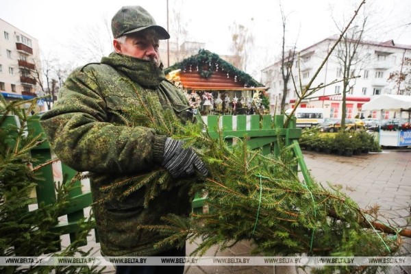 В Бресте заработали елочные базары В Бресте заработали елочные базары