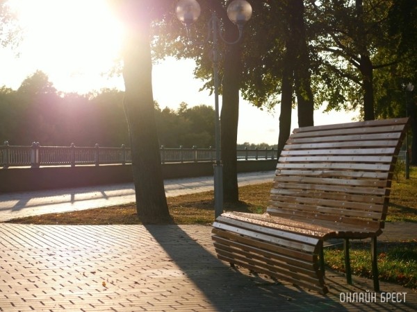 Климатологи назвали ноябрь 2023 года самым теплым за всю историю наблюдений