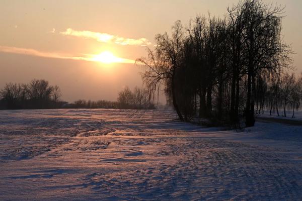 Страсти по райпо: есть ли у магазинов Белкоопсоюза шанс на новую жизнь