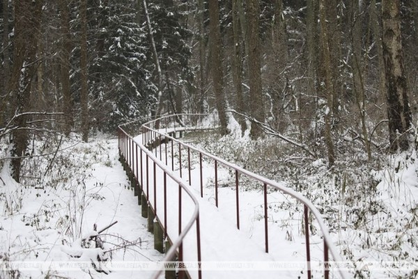 Партизанский Дед Мороз всю зиму будет принимать гостей в Ивацевичском районе Партизанский Дед Мороз всю зиму будет принимать гостей в Ивацевичском районе