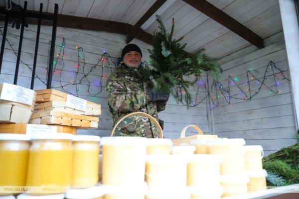 В Бресте заработали елочные базары В Бресте заработали елочные базары