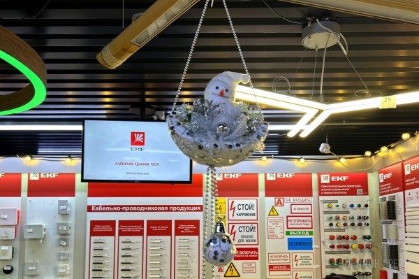 Новый 2024 год не наступит без Всей Электрики! Срочно приходите в магазин по улице Пушкинская, 94-2 и выбирайте новогоднюю иллюминацию