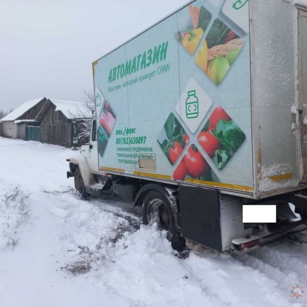 В Бресте в результате падения деревьев повреждено пять машин