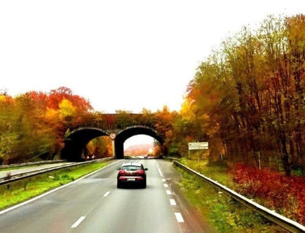 «Итальянцы подрезают, немцы — средний палец показывают». Женщина из Брестской области о работе дальнобойщицей